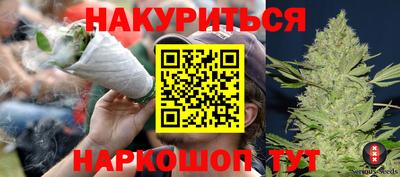 индика Будённовск