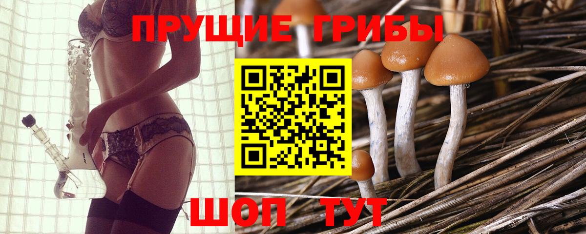 Псилоцибиновые грибы Psilocybine cubensis  цена наркотик  Лабинск  Вход с VPN 